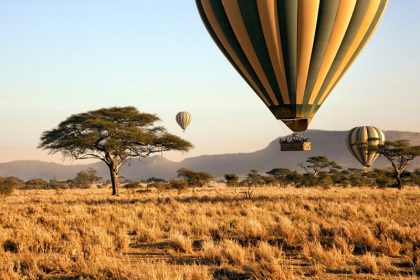 Best Time to Go on Safari in Tanzania