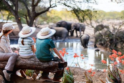family friendly tanzania safari