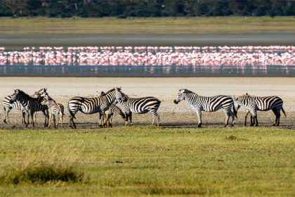 tanzania national parks
