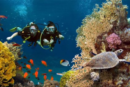 Zanzibar snorkeling spot