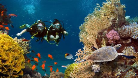 Zanzibar snorkeling spot