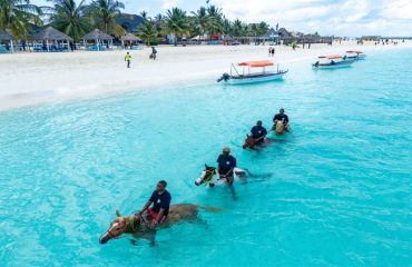 things to do in zanzibar