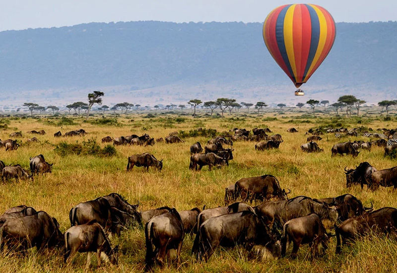 3 Days Fly-in Safari from Zanzibar to Serengeti