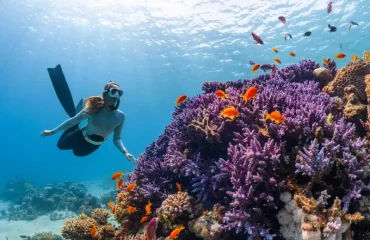 Best Times for Diving in Zanzibar