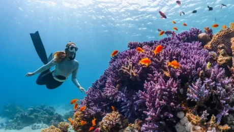 Best -Times- for -Diving -in -Zanzibar Best Times for Diving in Zanzibar