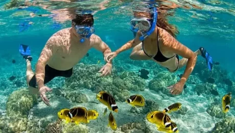 Diving -Holidays- in -Zanzibar’s -Coral -Reefs Diving Holidays in Zanzibar’s Coral Reefs