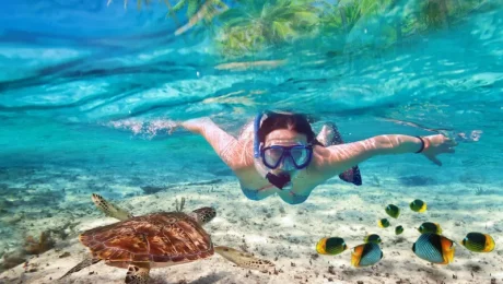 Snorkeling Adventures Around Mnemba Atoll