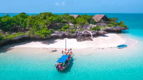 Pemba Island vs Zanzibar: Which to Choose?