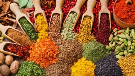 Spice Tours: A Must-Do in Zanzibar