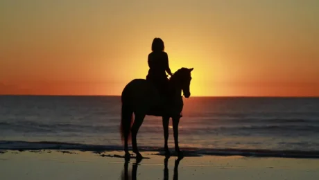 Sunset Horseback Rides on the Beach