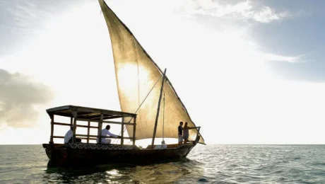 Traditional Sailing Tours in Zanzibar