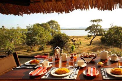 Customizing Your Tanzania Safari: What’s Possible?
