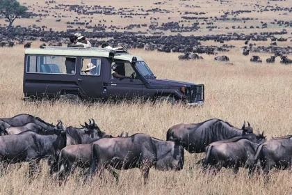 Great Migration Safari in Kenya