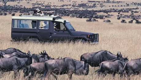 Great Migration Safari in Kenya