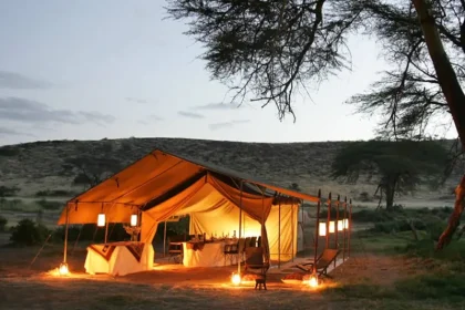 Kenya camping safaris