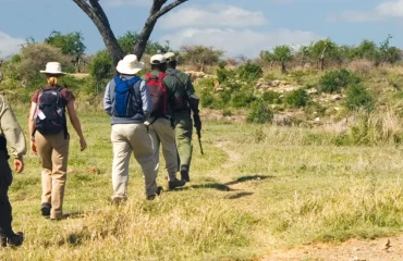 Best Hiking Trails in Tanzania