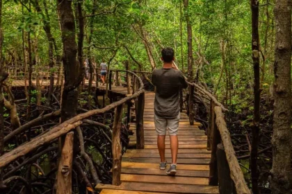 Combining Zanzibar with a Hiking Adventure