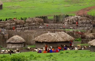 Cultural Day Tour to Maasai Village