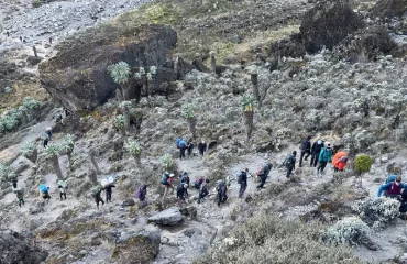 Day Hikes on the Slopes of Kilimanjaro