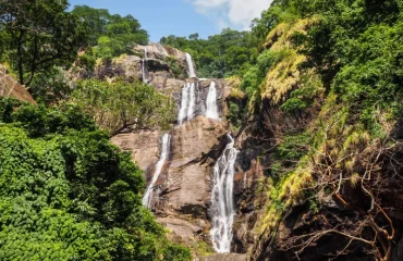 Day Trip to Udzungwa Mountains National Park