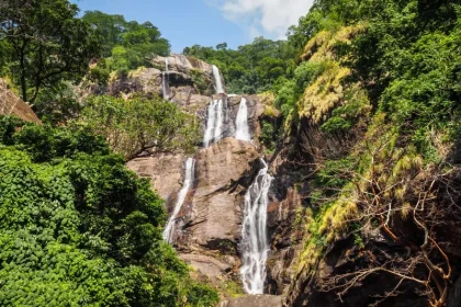 Day Trip to Udzungwa Mountains National Park