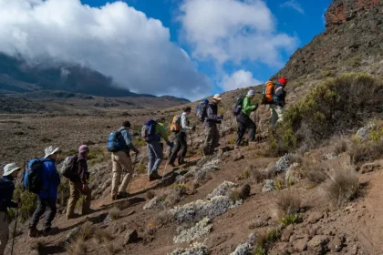 Eco-Friendly Hiking Tours in Tanzania