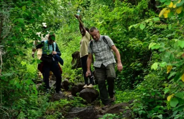 Exploring Protected Forests by Foot