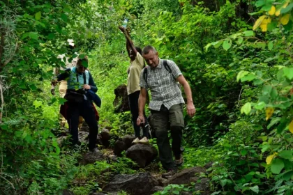Exploring Protected Forests by Foot