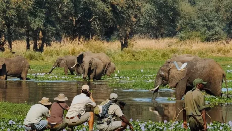 Guided- Nature -Walks- in -Tarangire- National -Park Guided Nature Walks in Tarangire National Park