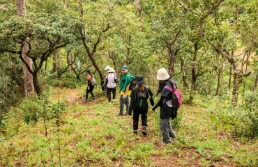 Hiking Tours with Local Storytelling