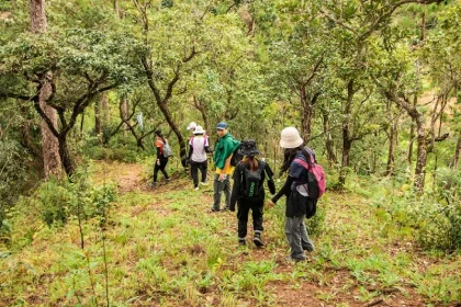 Hiking Tours with Local Storytelling