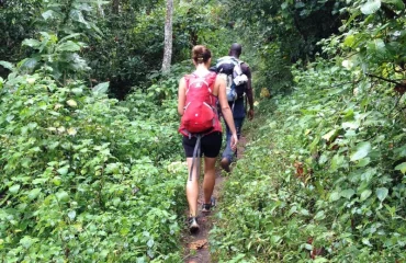Hiking the Usambara Mountains: What to Expect
