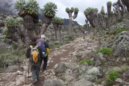 Kilimanjaro Day Hikes: A Quick Adventure