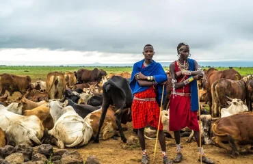 Mto Wa Mbu Cultural Day Experience