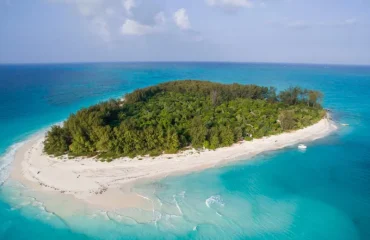 Pemba Island Day Tour Highlights