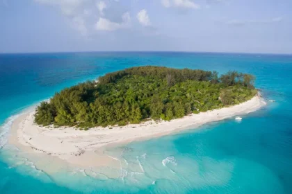 Pemba Island Day Tour Highlights
