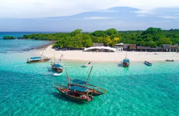 Safari Blue Day Trip in Zanzibar
