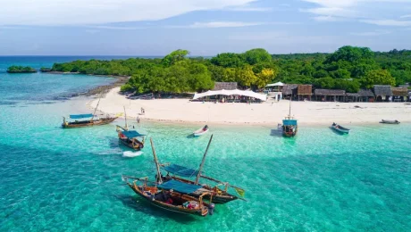 Safari Blue Day Trip in Zanzibar