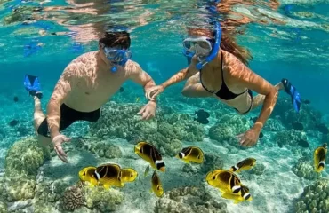 Snorkeling Day Tours in Mnemba Atoll