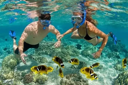 Snorkeling Day Tours in Mnemba Atoll