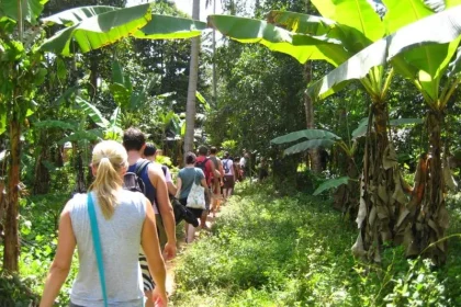 Spice Farm Day Tour in Zanzibar