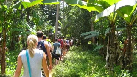 Spice Farm Day Tour in Zanzibar