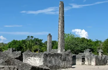 Top Day Tours from Dar Es Salaam