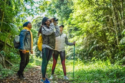 Top Tips for Trekking in Tanzania’s National Parks