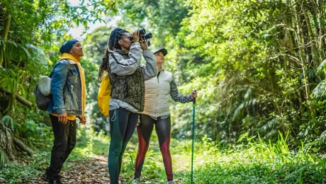 Top Tips for Trekking in Tanzania’s National Parks