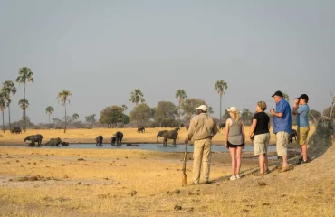 Trekking -Safaris-Walk-Among- Wildlife Trekking Safaris: Walk Among Wildlife