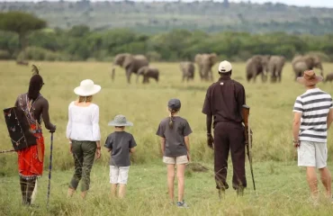 Walking- Safaris- in -Tanzania- A -Unique- Experience Walking Safaris in Tanzania: A Unique Experience
