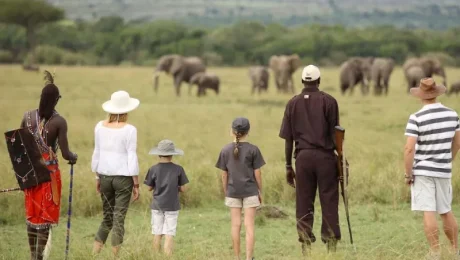 Walking Safaris in Tanzania: A Unique Experience