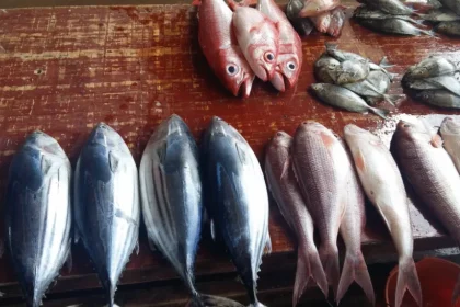 Dar Es Salaam Fish Market Morning Tour