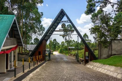 Day Tours to Kilimanjaro National Park Gate
